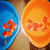 Red Melon White Face 7 - 8 cm Red-Melon-White-Face-7-8-cm